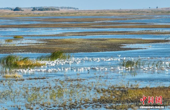 10��16�գ�����ĪĪ����Ҽ���Ȼ���o�^(q��)��(n��i)�������ڑ�ˮ��(�o�˙C��Ƭ)�w��� �z