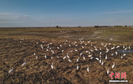 10��16�գ��ڼ���ĪĪ����Ҽ���Ȼ���o�^(q��)��(n��i)���Q����Ϣ��(�o�˙C��Ƭ)�w��� �z