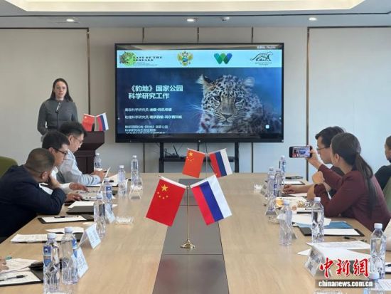 ���_˹���ҷ������o(h��)�|������(j��ng)�(y��n)�������� �z