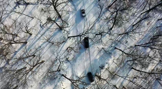 ���c���{܇��Խɭ���� �Ժ���ί���������D