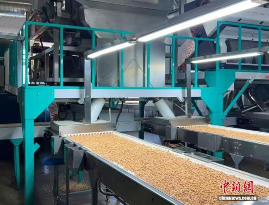 �������a(ch��n)����(�L�����P(gu��n)���D)