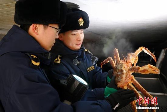 �L�����P���٬q�����P�P�T���M�ڵ���з�_չ��򞹤�����̽��V �z