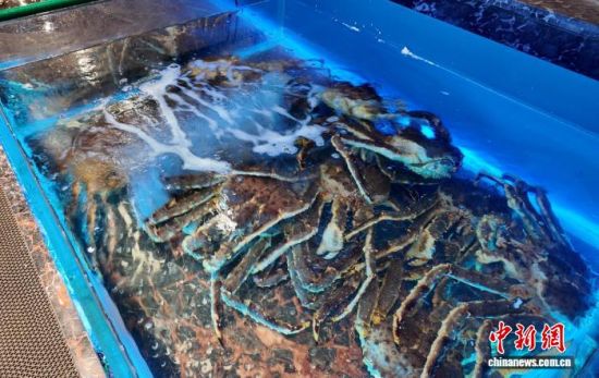 ���B(y��ng)����ĵ���з����߅��ί������ ���D