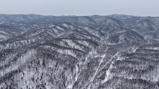 ���AƤ���(zh��n)ĵ���X�� �������ý�w���Ĺ��D