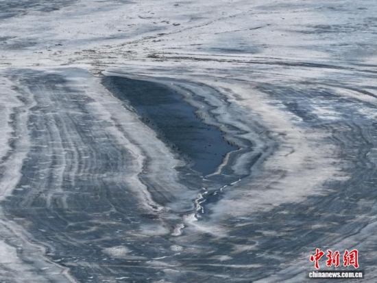 3��16�գ������(zh��n)�l�������������������BͣЪҒʳ���������� �z