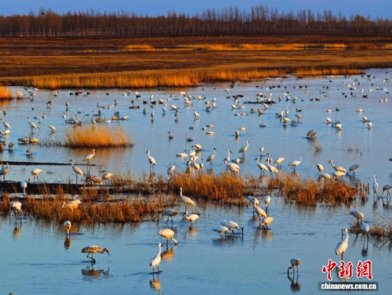 4��11�գ������(zh��n)�l�����Q����ϡ�B���ĪĪ����Ғʳ���������� �z