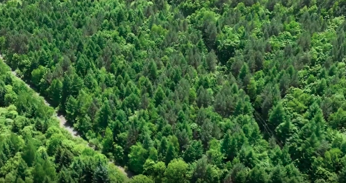 �������ߡ��w�� ���ǡ��o�҈@